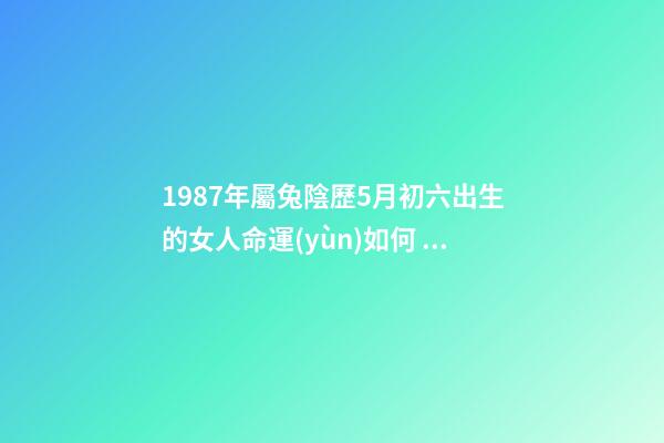 1987年屬兔陰歷5月初六出生的女人命運(yùn)如何 1987年屬兔的命運(yùn)，您好，我是87年農(nóng)歷5月11日，陽歷6月6日的生-第1張-觀點(diǎn)-玄機(jī)派